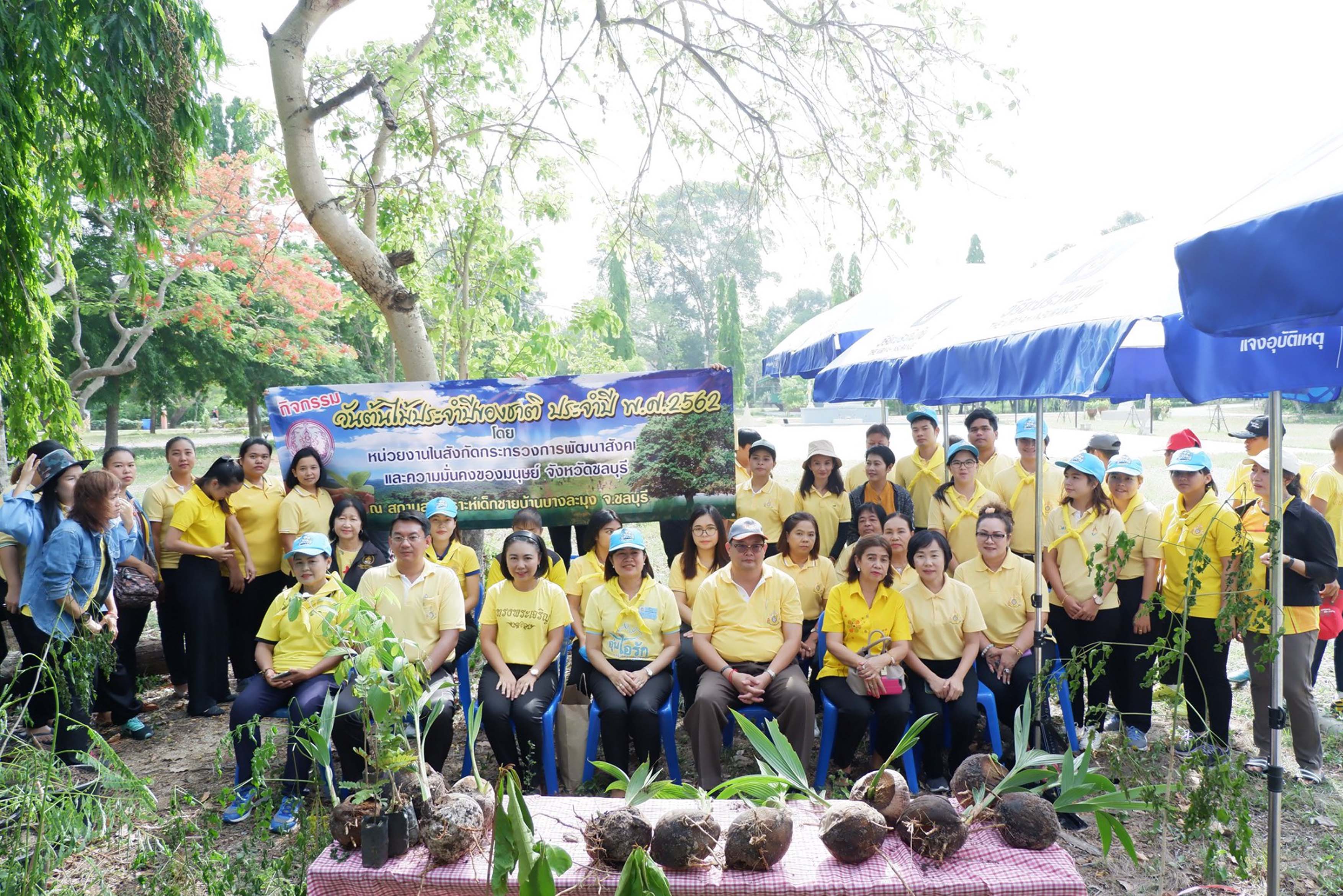 กิจกรรมวันต้นไม้ประจำปีของชาติ พ.ศ.2562