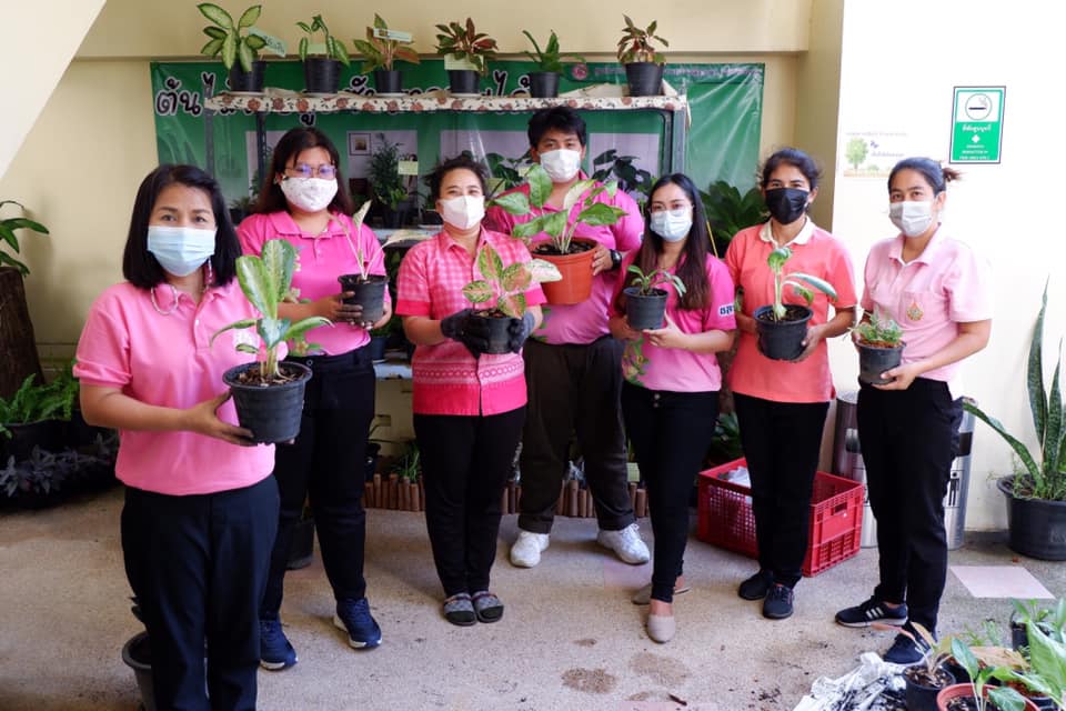 กิจกรรมต้นไม้ฟอกอากาศ