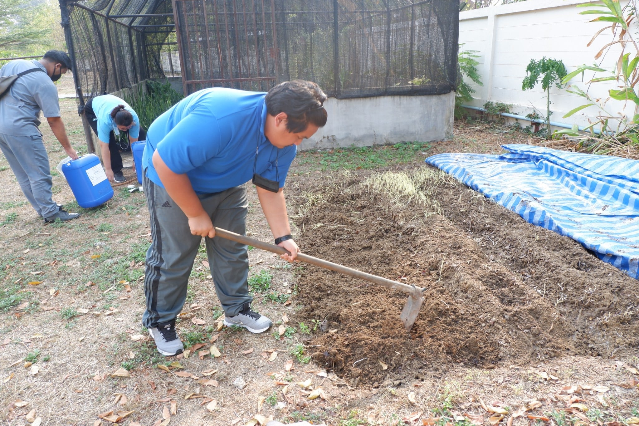ร่วมลงพื้นที่ในการจัดทำความรู้และนวัตกรรม (KM) เรื่อง สวนสมุนไพรไล่ยุงเ