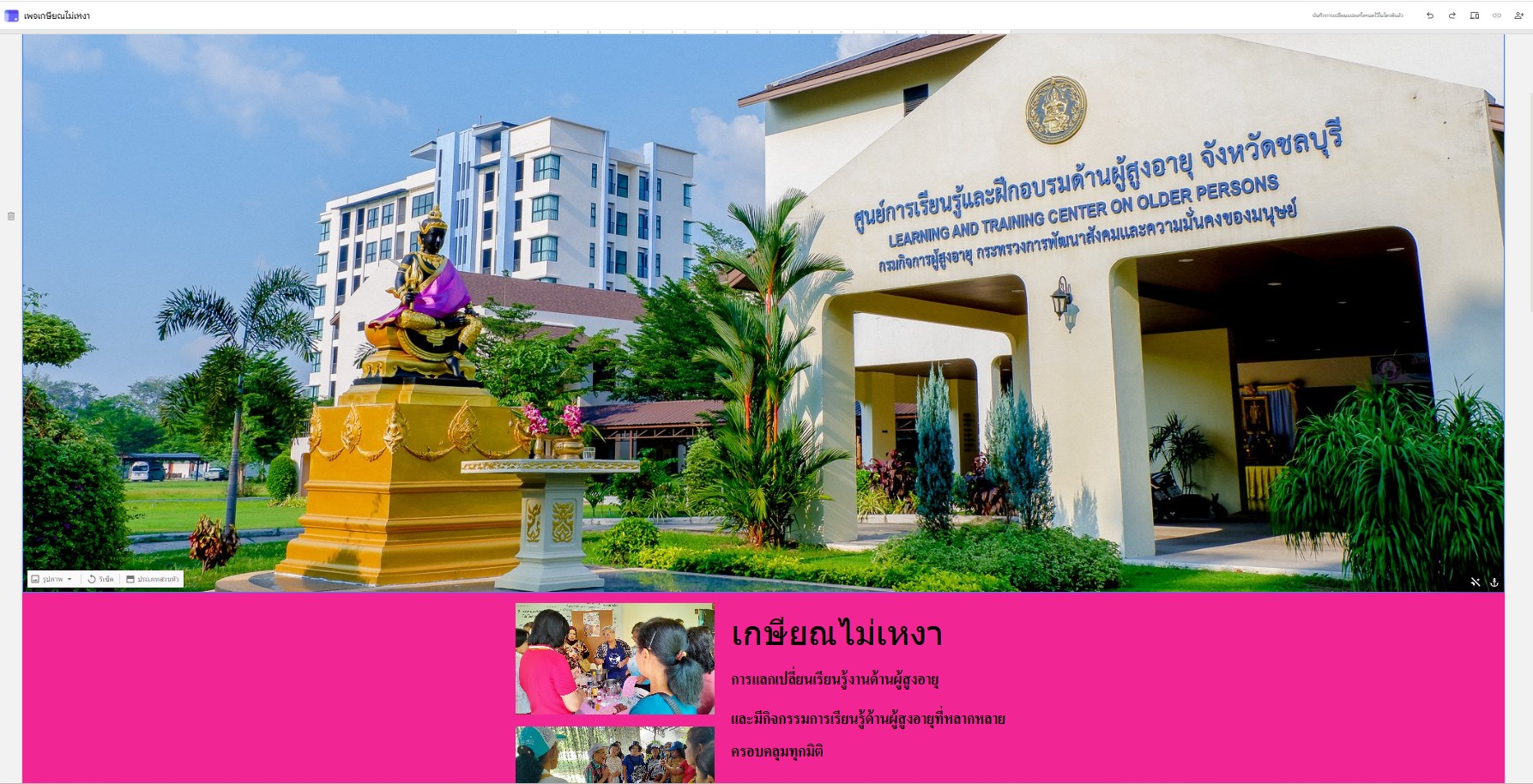 เกษียณไม่เหงา
